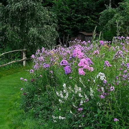 Chalet Pour 2 Dans Le Jardin De Berchigranges