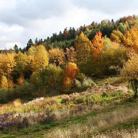 بيت للعطل Chalet Pour 2 Dans Le Jardin De Berchigranges